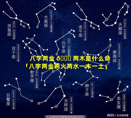 八字两金 🐅 两木是什么命「八字两金两火两水一木一土」